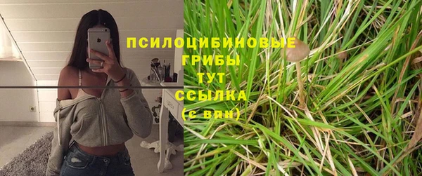 мяу мяу мука Арсеньев